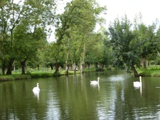 calme et sérénite dans le Marais Poitevin
